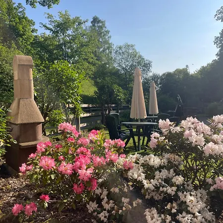 Untere Muehle 게스트하우스 Burghaun