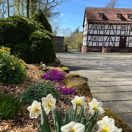 Untere Muehle 게스트하우스 Burghaun